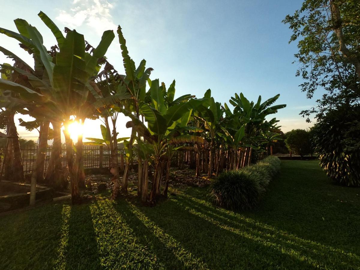 Finca Hotel Estrella Del Eden El Socorro 외부 사진